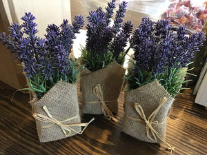 Creative Coop Lavender Plant